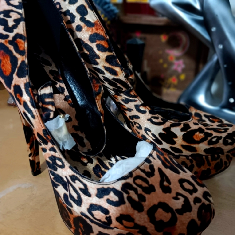 High Heels size 6.5 brand new no tags